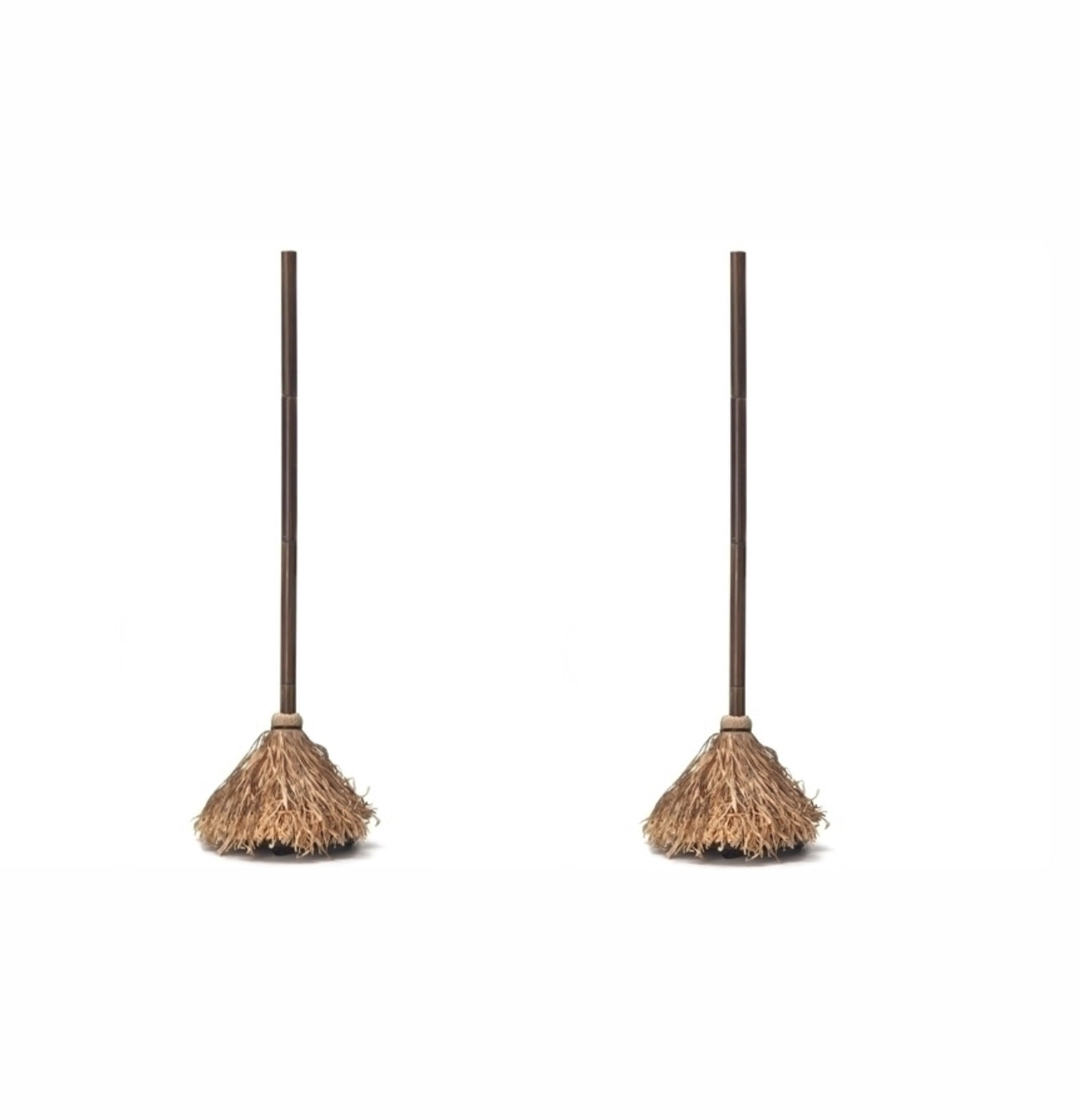 Witches Broomstick
