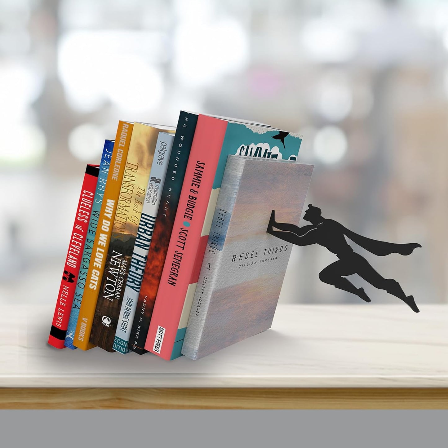 My Hero Book Holder