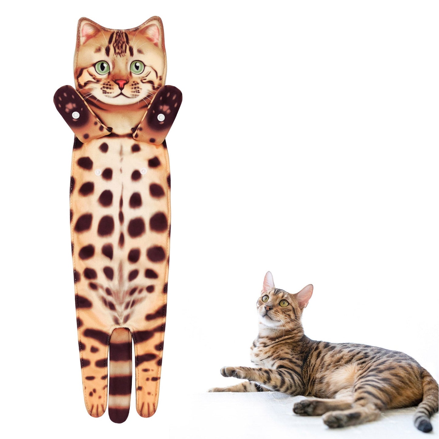 Cute Cat Towels