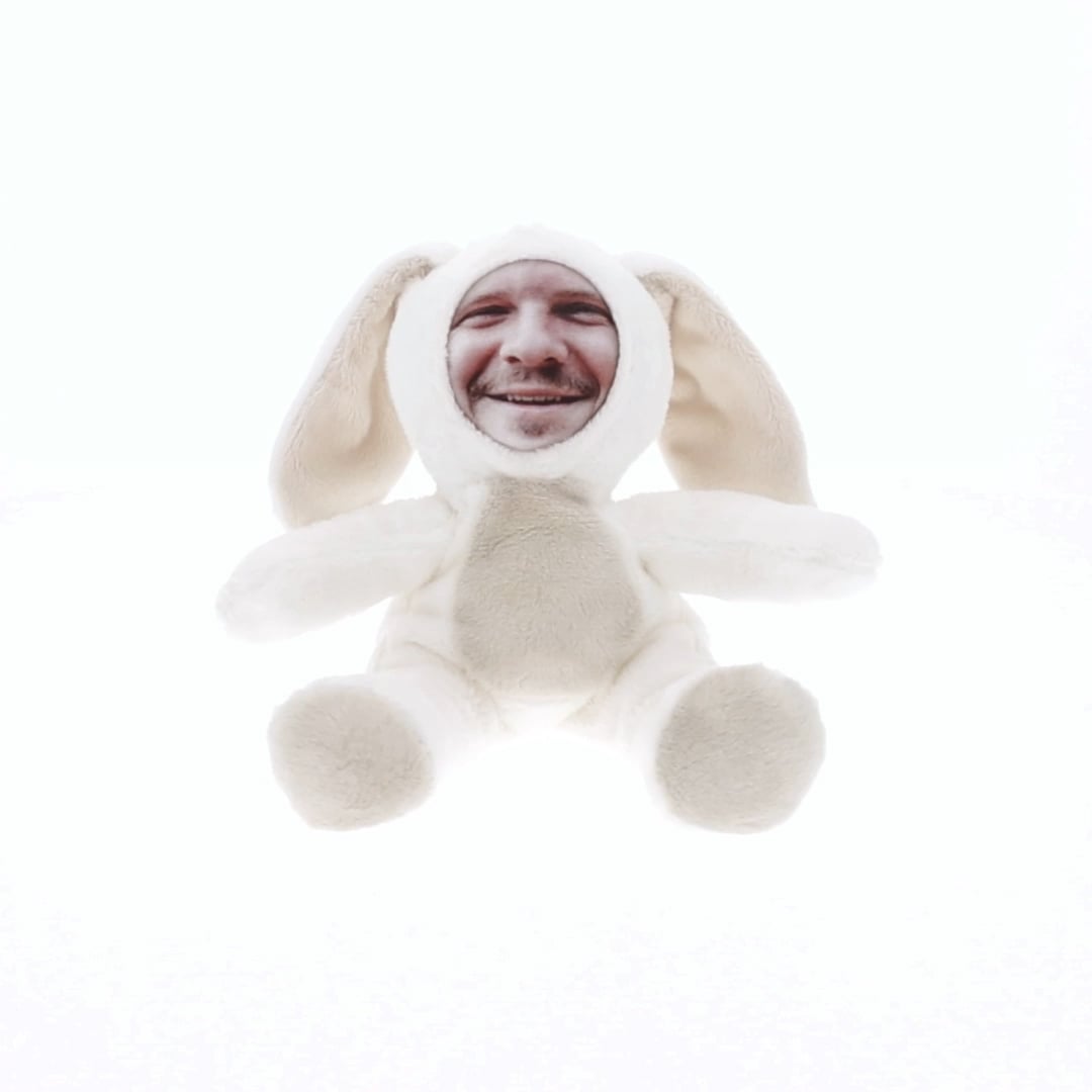 Teddy Face