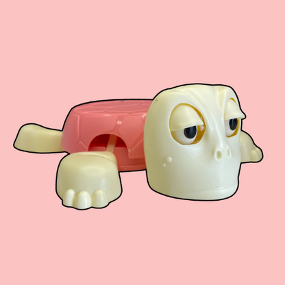 Turtle Coaster