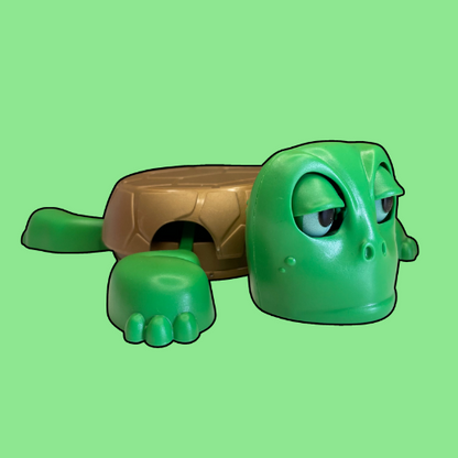 Turtle Coaster