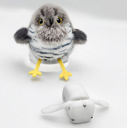 Bird Chase