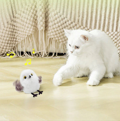 Bird Chase