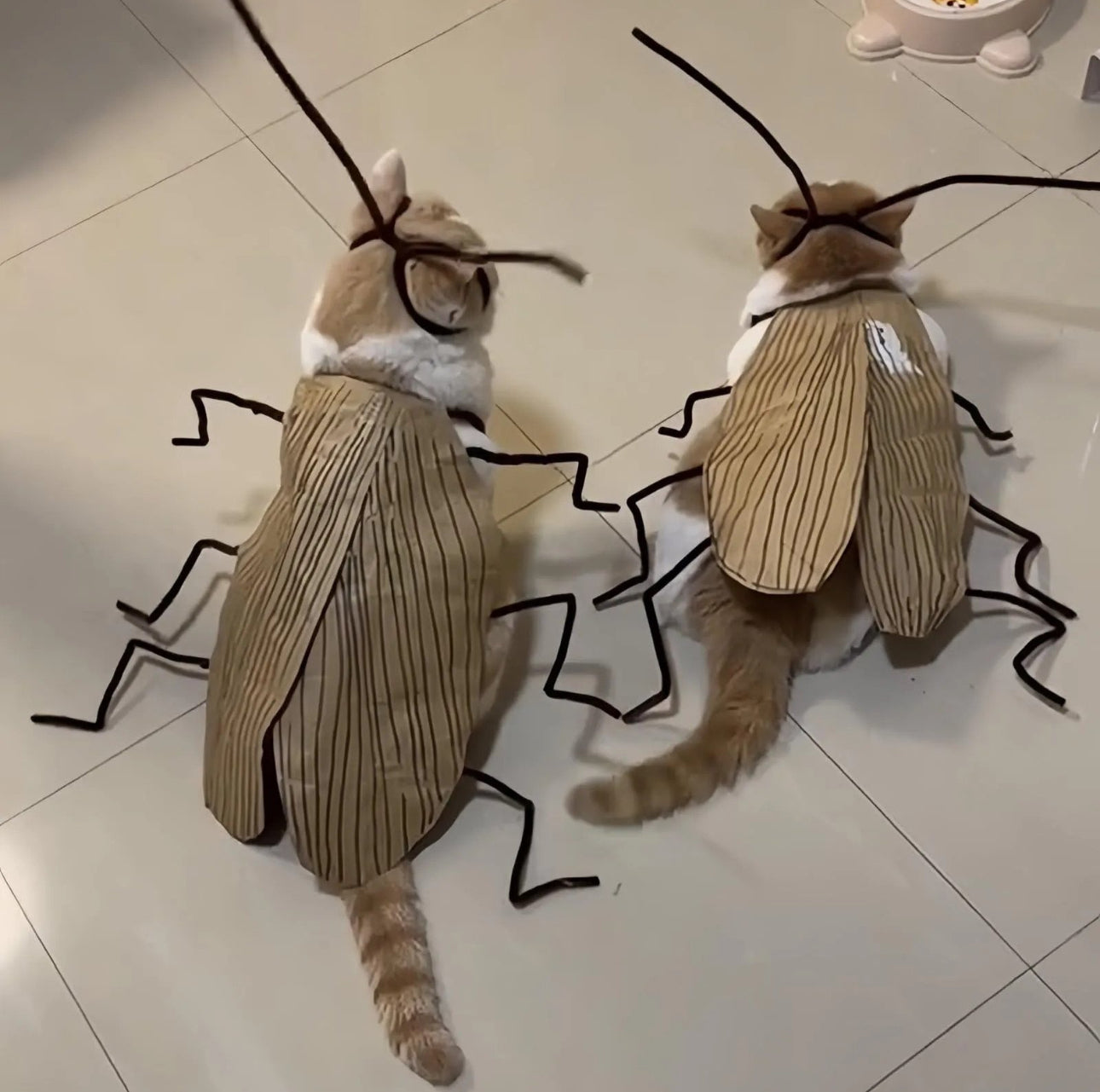 Meowroach Cat Costume