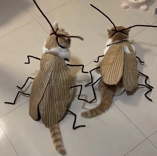 Meowroach Cat Costume
