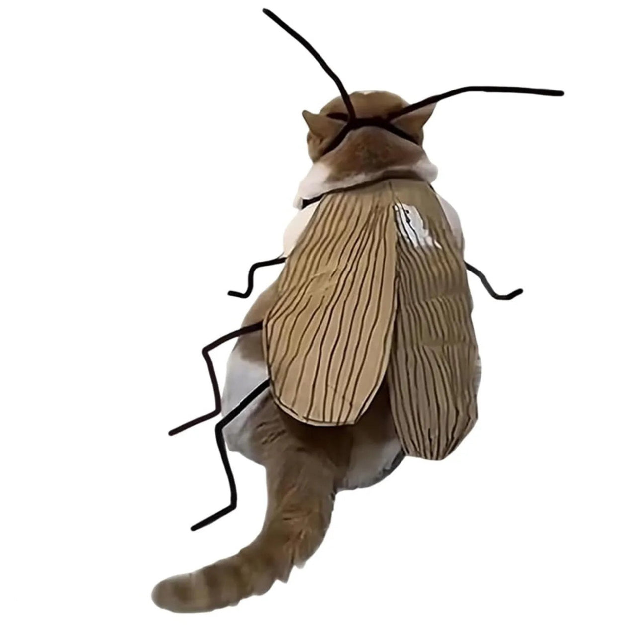 Meowroach Cat Costume