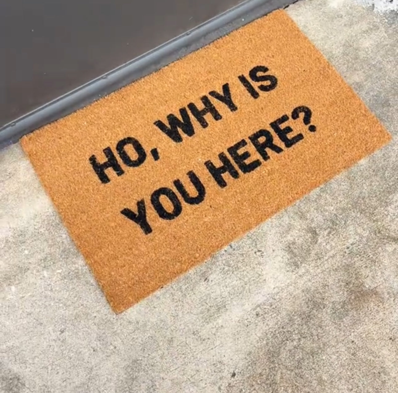 Ho Why Is You Here Doormat