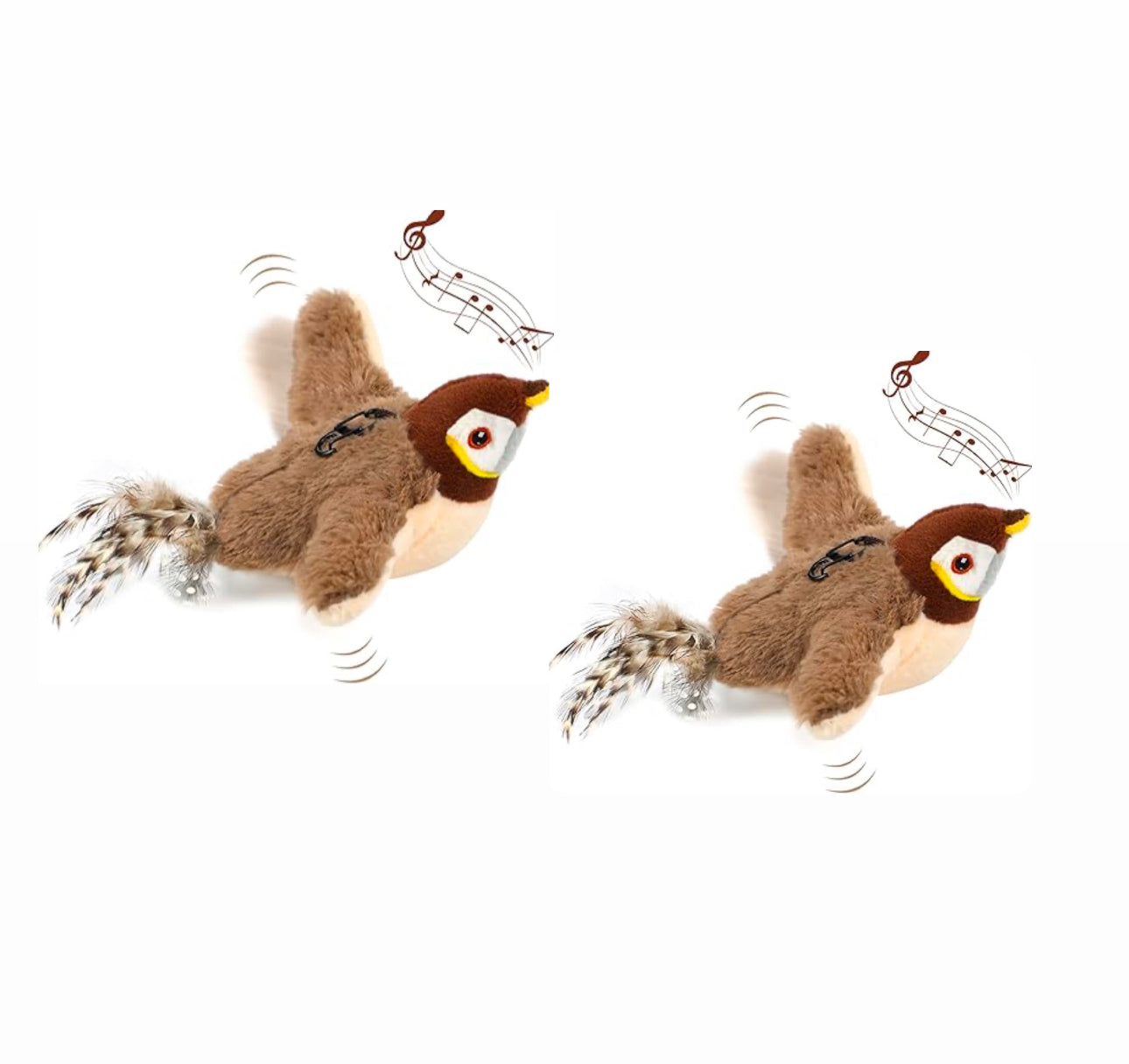 Bird Chase