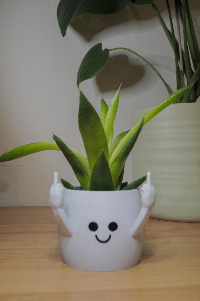 Middle Finger Planter