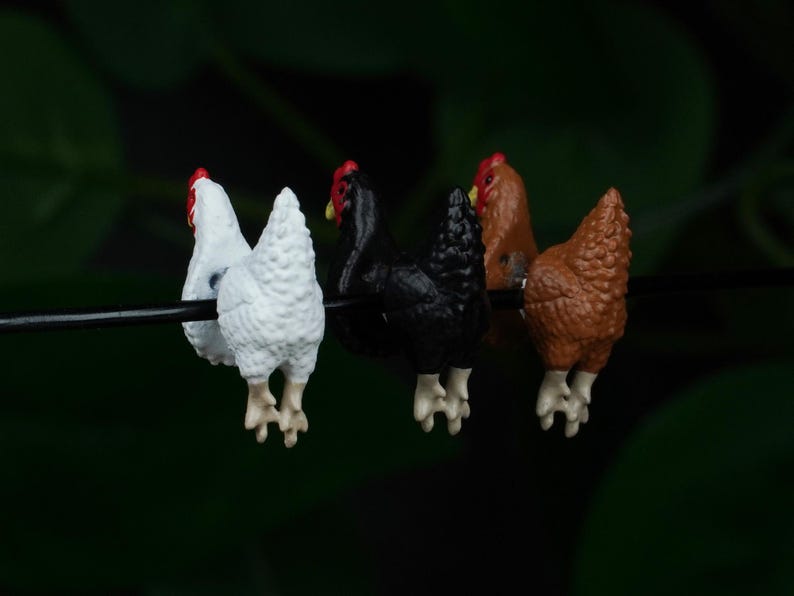 Chicken Earrings
