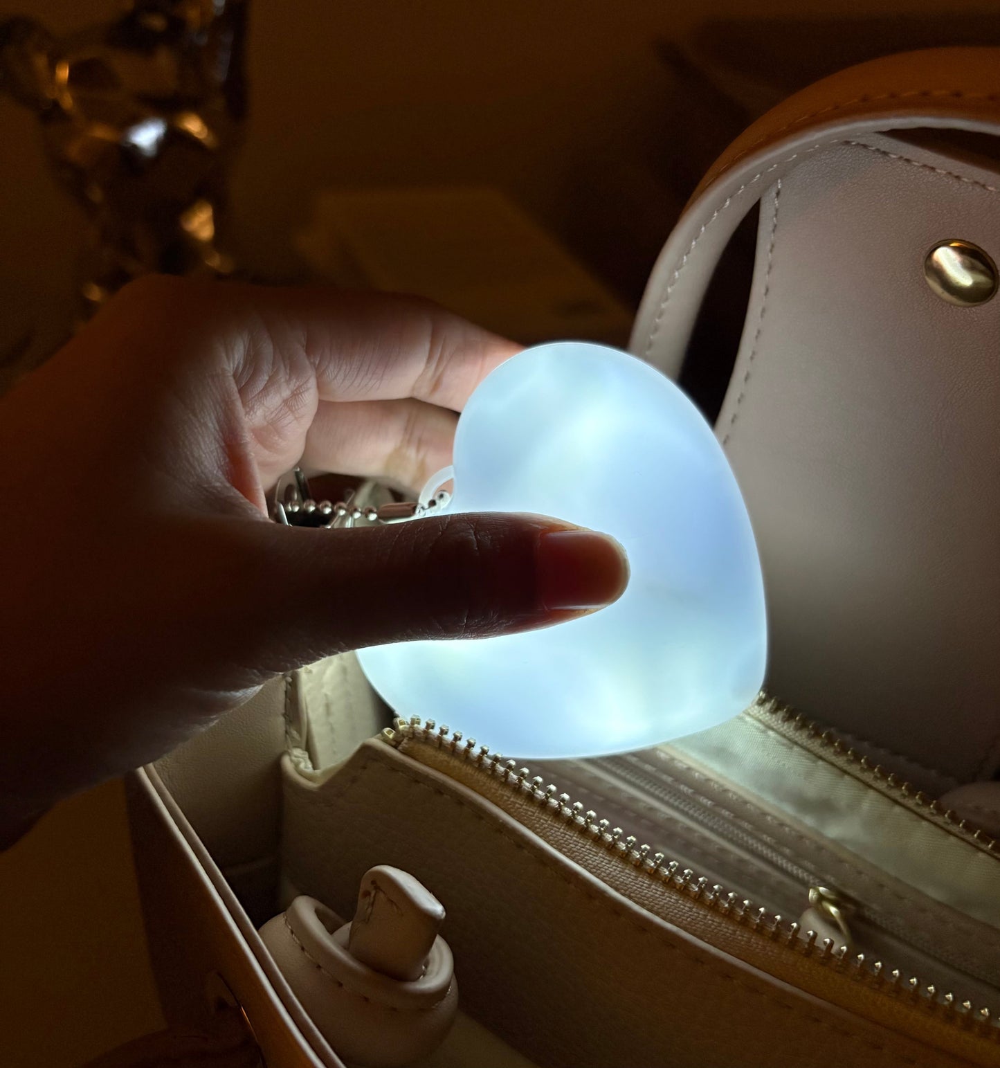 Purse Light Handbag